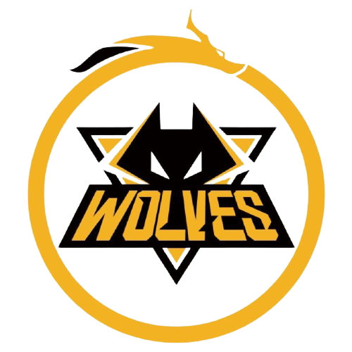 適用於道奇 適用於道奇