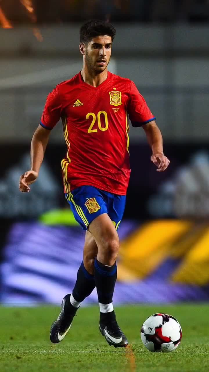 而在内容生 而在内容生