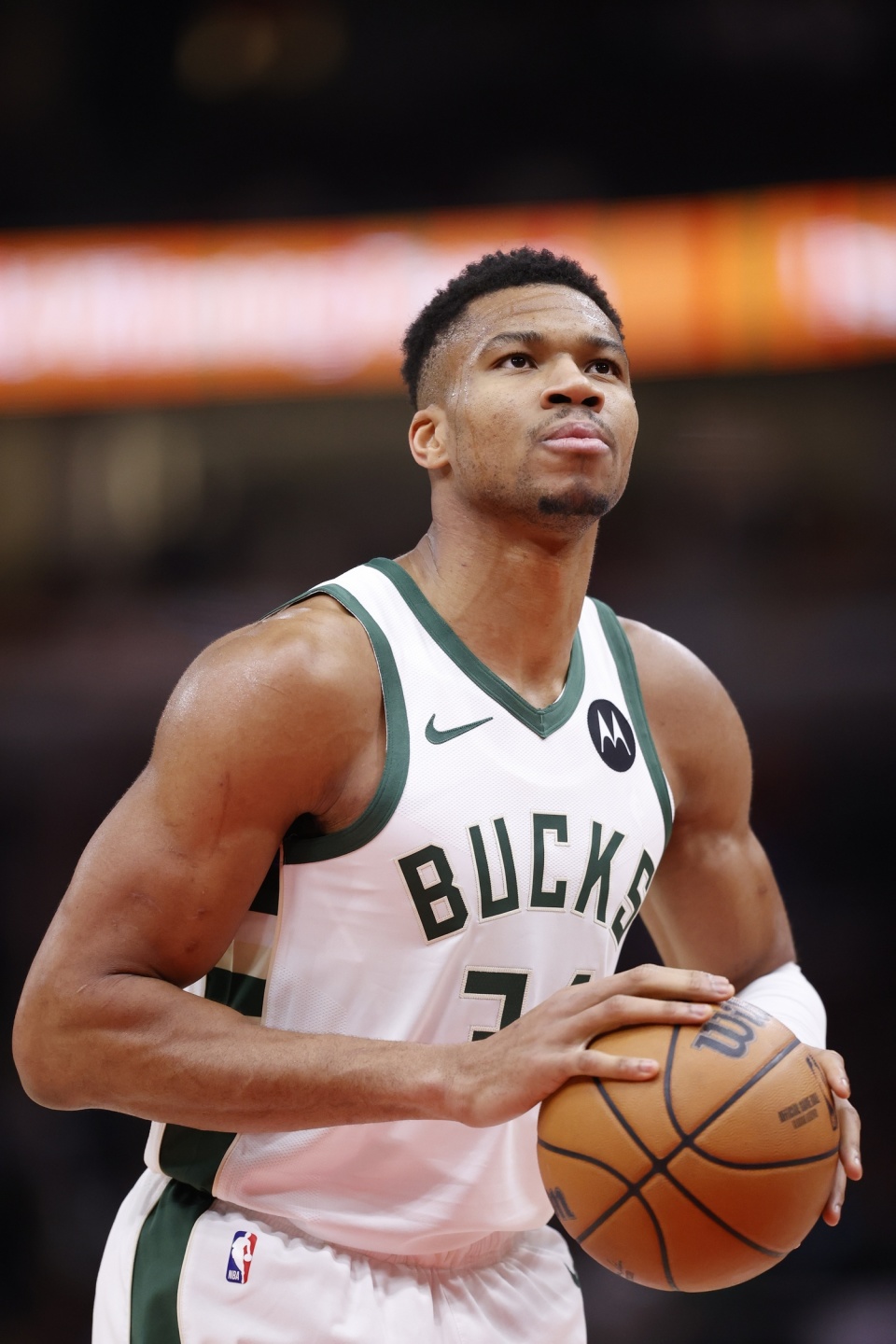 灯光与草坪 灯光与草坪